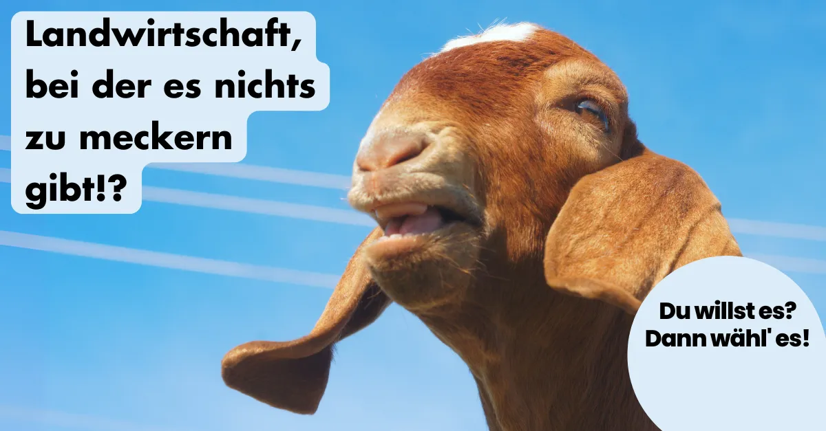ohnelogo_linkedin_ziege